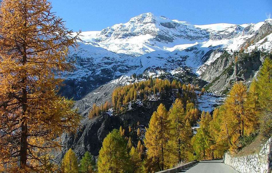 HERBST HIGHLIGHT 7=6