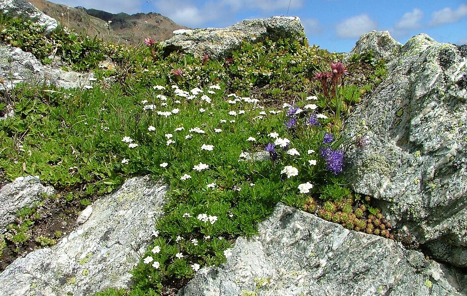 PÄRCHENWOCHE -30%