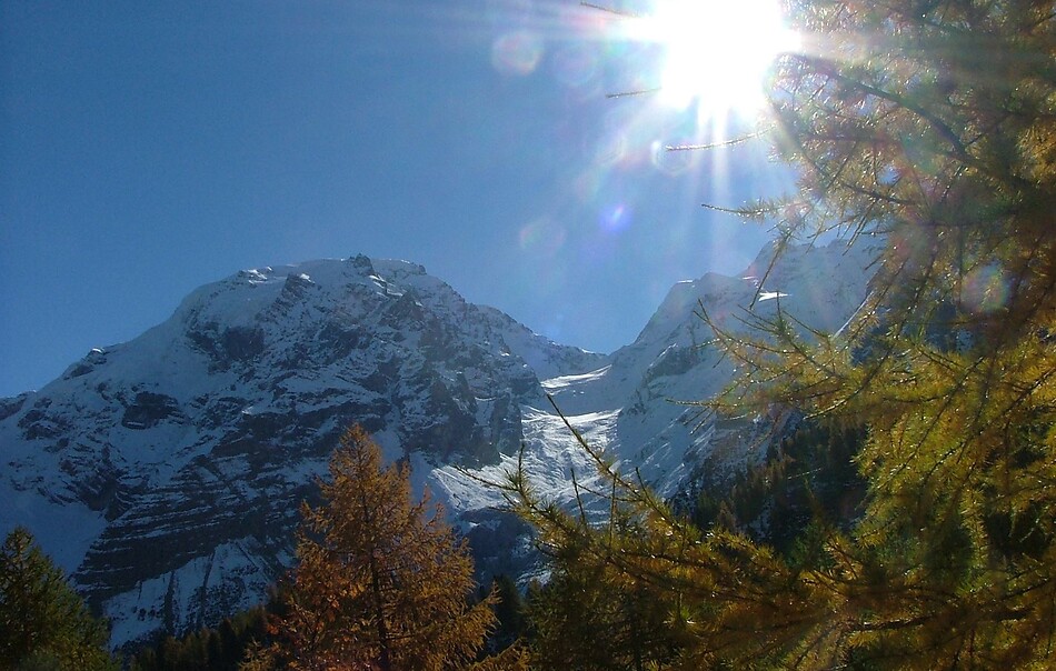 GOLDEN AUTUMN WEEK -10%